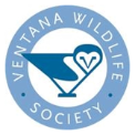 Organization Image
